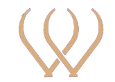 WedLounge